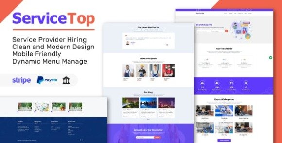 ServiceTop Professional Service Selling Marketplace PHP Script