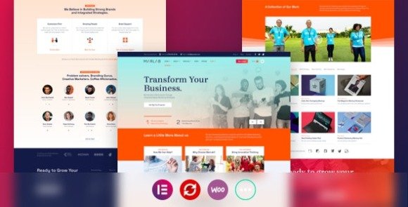 MarLab Digital Solutions WordPress Theme Download