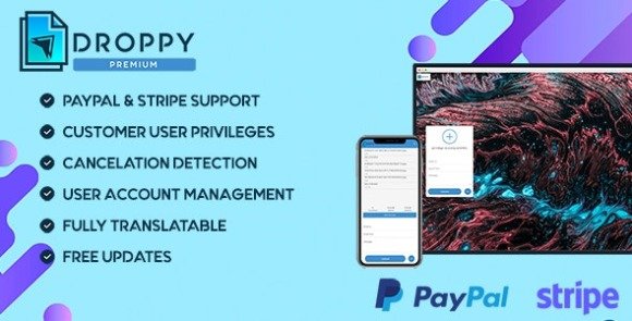Premium Subscription Addon Droppy Online File Transfer and Sharing