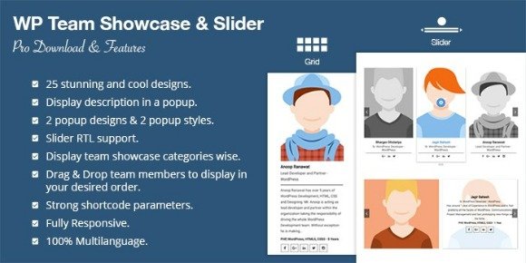 WP Team Showcase and Slider Pro Plugin Download