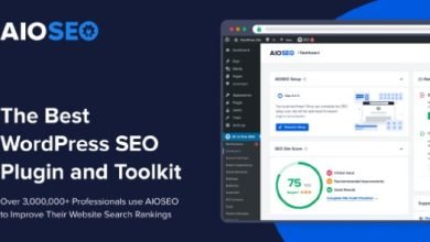 All in One SEO Pack Premium WordPress Plugin