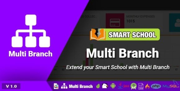 Smart School Multi Branch Addon