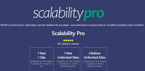 Scalability Pro WordPress Plugin