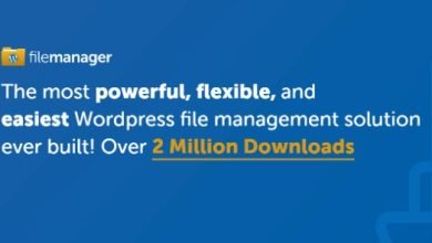 WP File Manager Pro WordPress Plugin