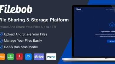 Filebob File Sharing And Storage Platform SaaS Ready Nulled Script