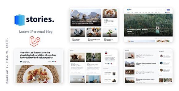 Stories Laravel Creative Multilingual Blog Script