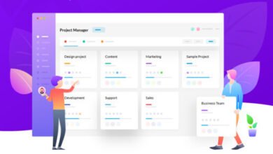 WordPress Project Manager Plugin